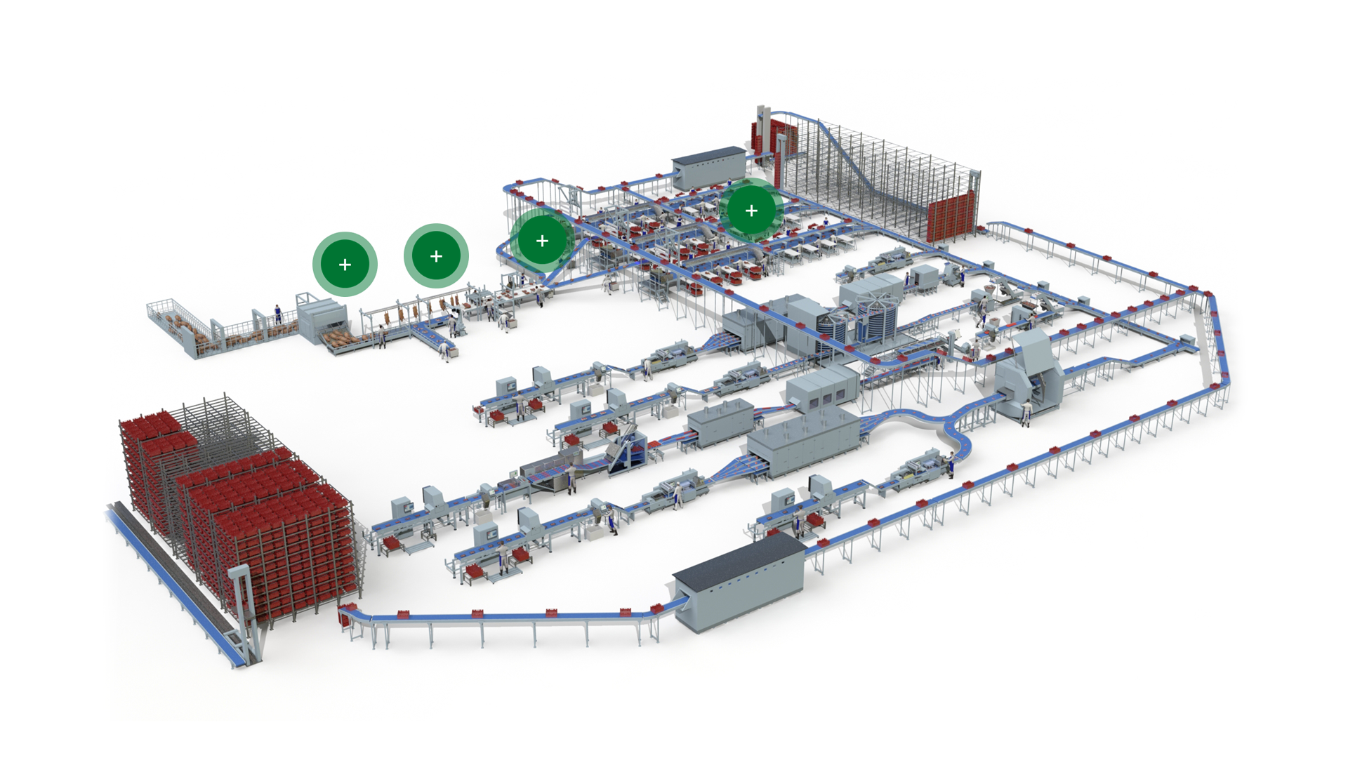 Red Meat Processing Pork