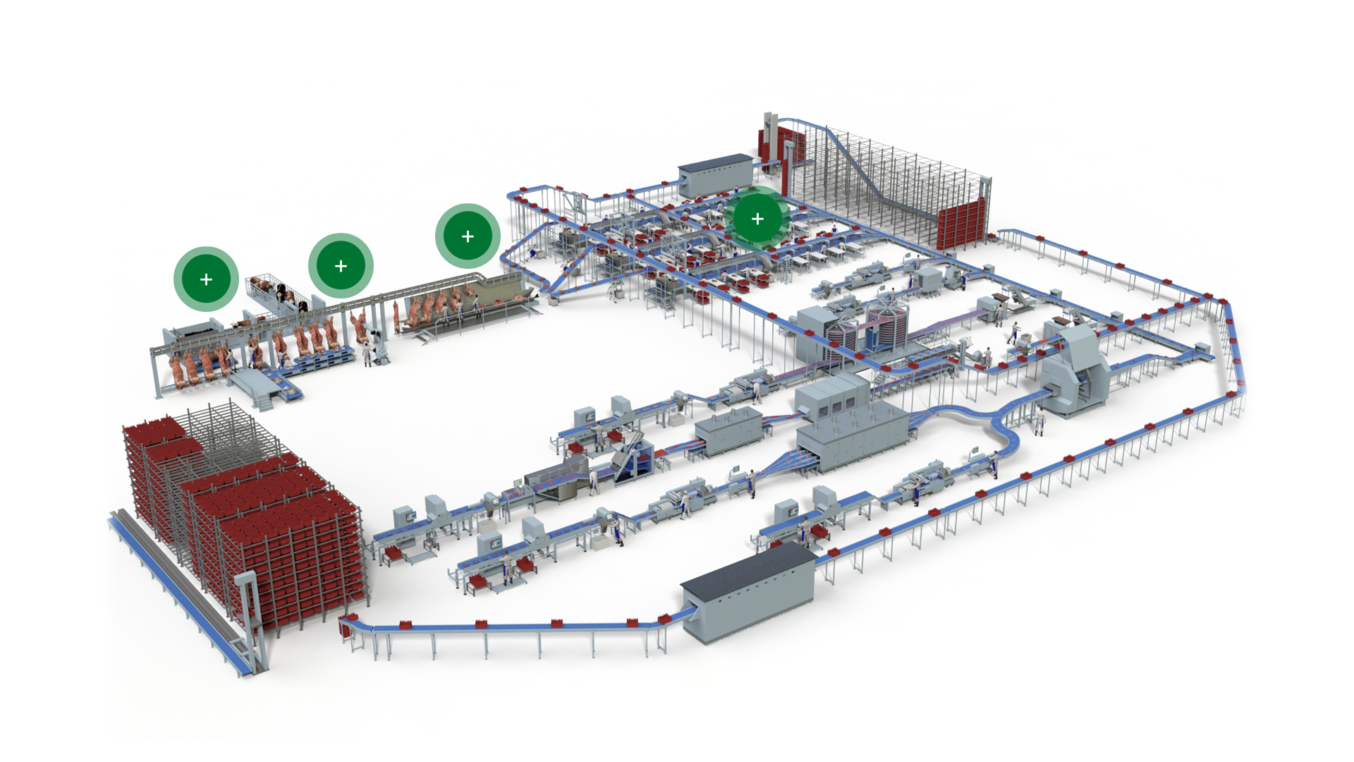 Red Meat Processing Beef